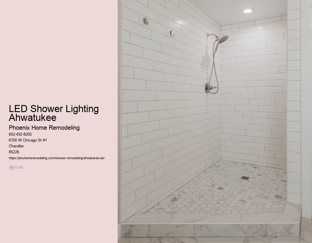 Growth in High-Tech Shower Accessories